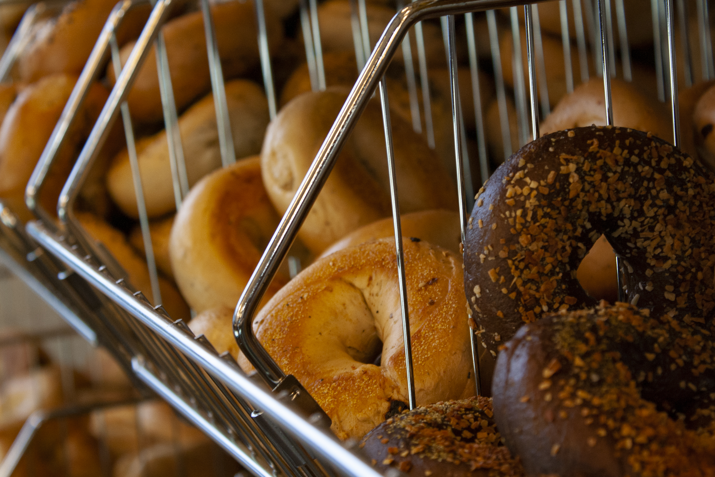 A close-up of metal racks filled with plain and seasoned bagels inside the bakery.